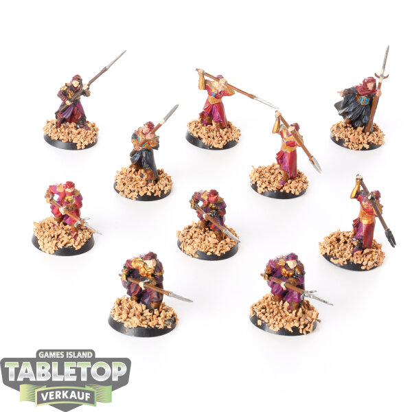 HdR Figuren - Böse - 10x Haradrim™ Warriors - bemalt