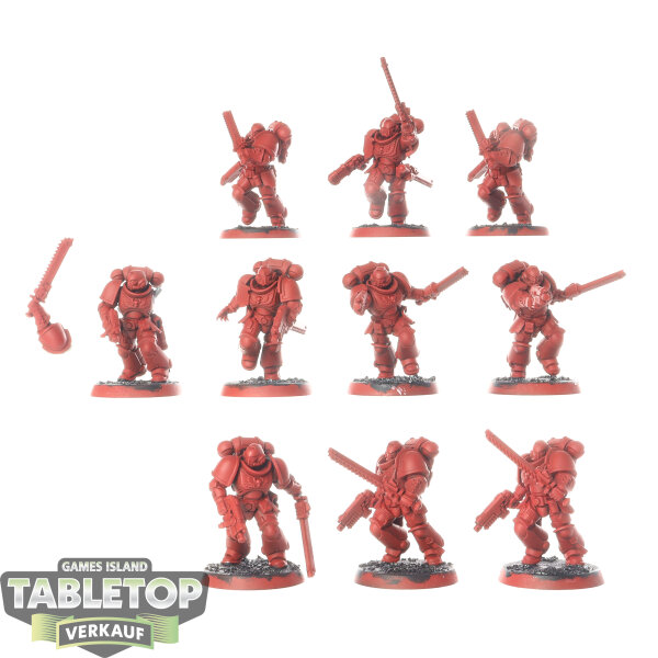 Space Marines - 10 x Assault Intercessors - grundiert