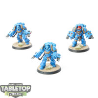Space Marines - 3x Primaris Inceptors - bemalt