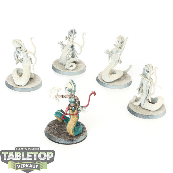 Daughters of Khaine - 5x Blood Stalkers - teilweise bemalt