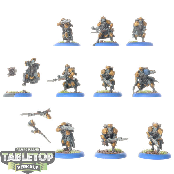 Cygnar - 10 Trencher Infantry - bemalt