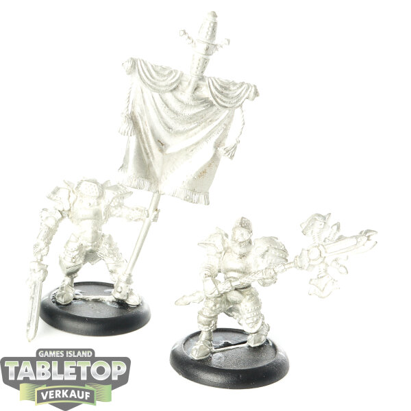 Cygnar - 2 Stormblade Infantry Officer & Standard - unbemalt