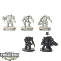 Space Wolves - 5x Wolf Guard Terminators - klassisch -...