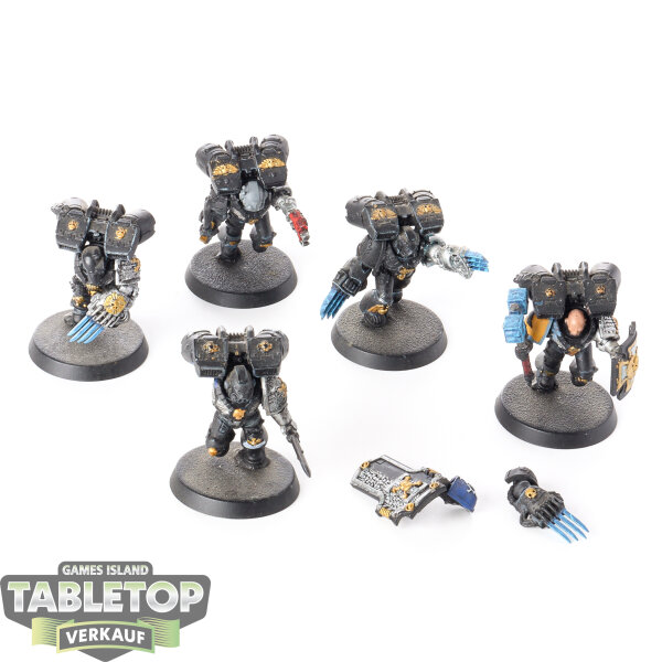 Deathwatch - 5 Vanguard Veteran Squad - bemalt