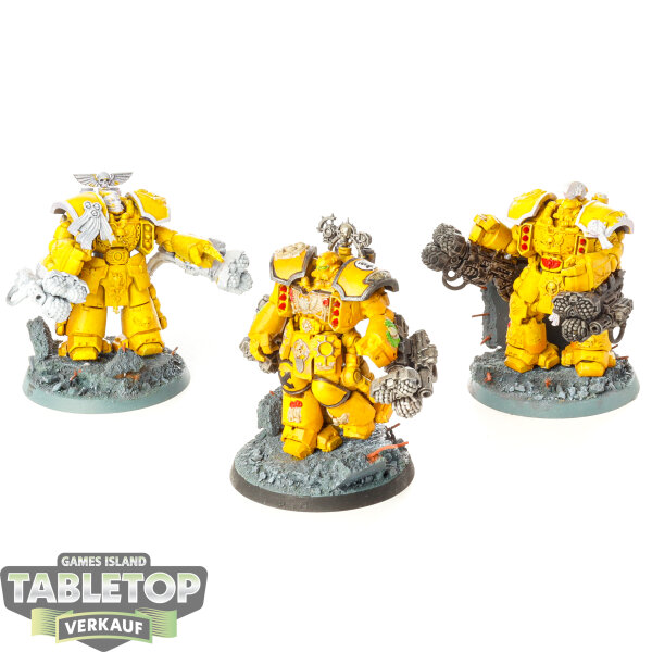 Imperial Fists - Centurion Assault Squad - bemalt