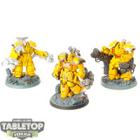 Imperial Fists - Centurion Assault Squad - bemalt