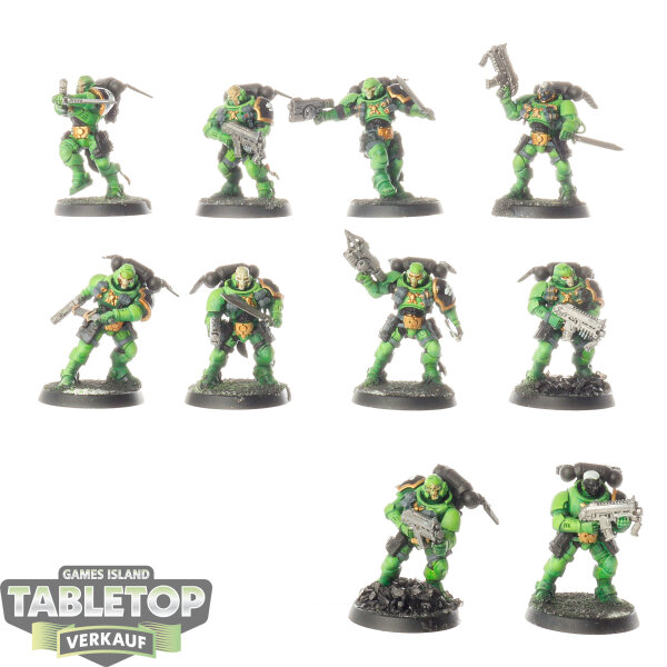 Salamanders - 10 Primaris Reivers - bemalt
