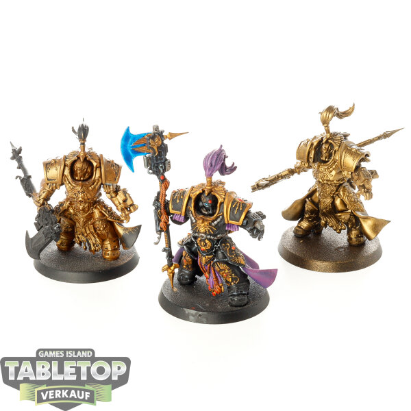 Adeptus Custodes - 3x Allarus Custodians - teilweise bemalt