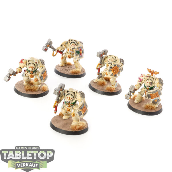 Dark Angels - 5x Terminator Assault Squad klassisch - bemalt