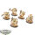 Dark Angels - 5x Terminator Assault Squad klassisch - bemalt