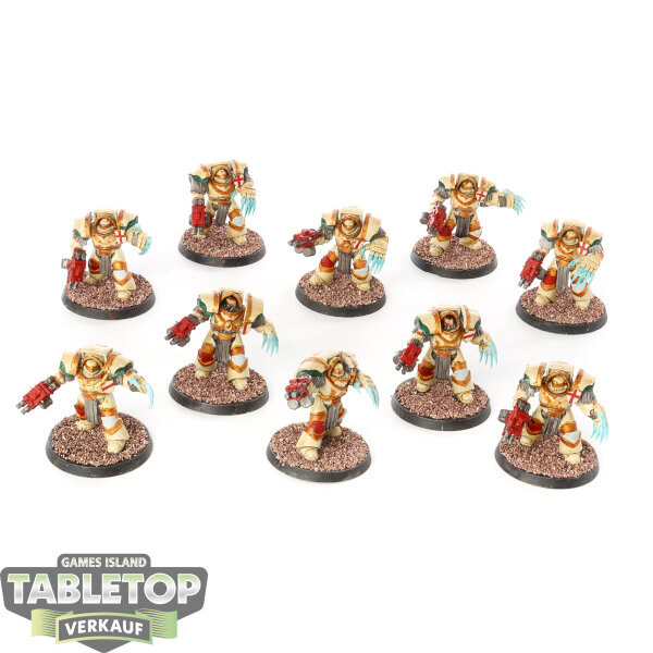 Horus Heresy - 10x Legion Cataphractii Terminator Squad - bemalt