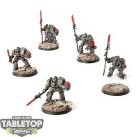 Grey Knights - 5x Grey Knights Terminator Squad - bemalt