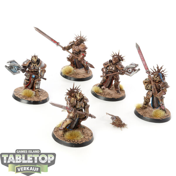 Stormcast Eternals - 5 Protectors - bemalt