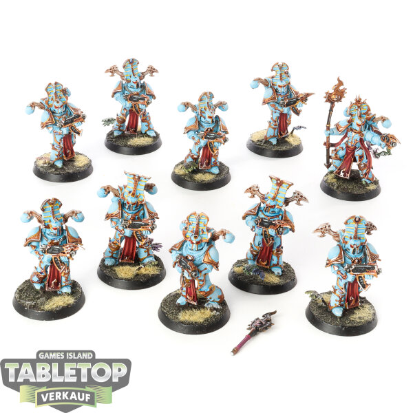Thousand Sons - 10 Rubric Marines - bemalt