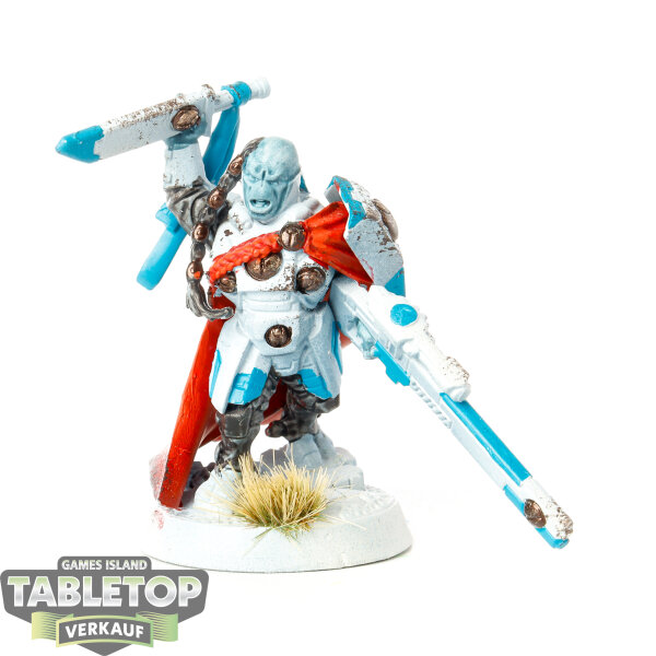 Tau Empire - Cadre Fireblade - bemalt