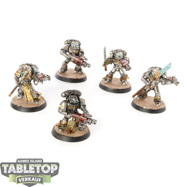 Grey Knights - 5x Grey Knights Purifier Squad - teilweise bemalt