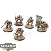 Grey Knights - 5x Grey Knights Paladins - bemalt