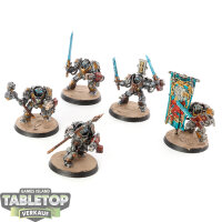 Grey Knights - 5x Grey Knights Paladins - bemalt