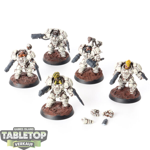 Leagues of Votann - 5 Einhyr Hearthguard - bemalt