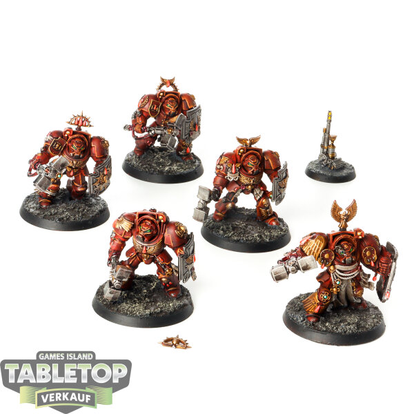 Blood Angels - 5 Terminator Squad klassisch - bemalt