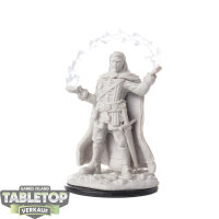 Miniaturen - D&D Nolzurs marvelous - unbemalt