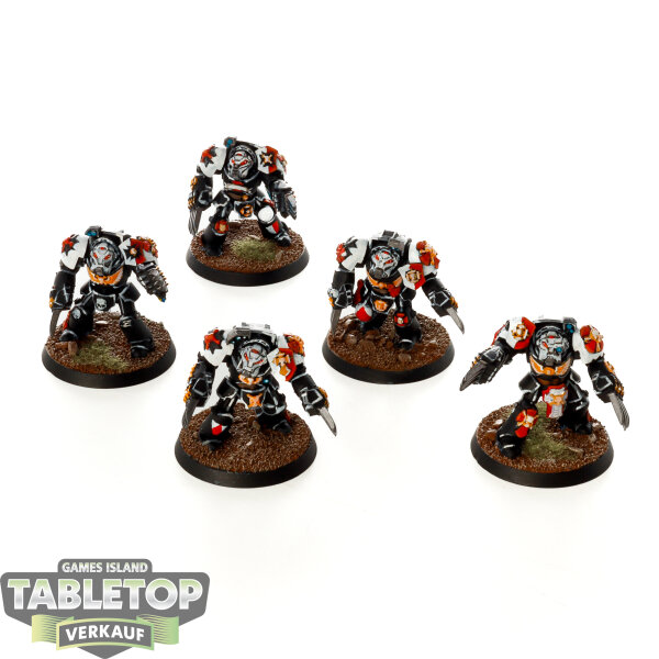 Black Templars - 5x Terminator Assault Squad - bemalt