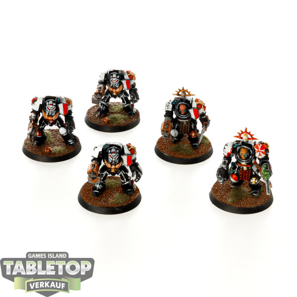 Black Templars - 5x Terminator Squad klassisch - bemalt