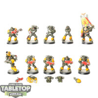 Imperial Fists - 10x Tactical Squad - bemalt