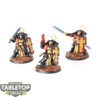 Black Templars - 3x Bladeguard Veterans - teilweise bemalt