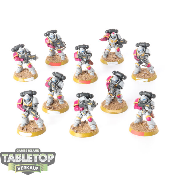Space Marines - 10 Intercessors - bemalt