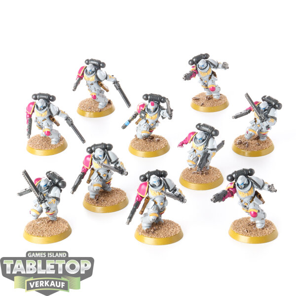 Space Marines - 10 Assault Intercessors - bemalt