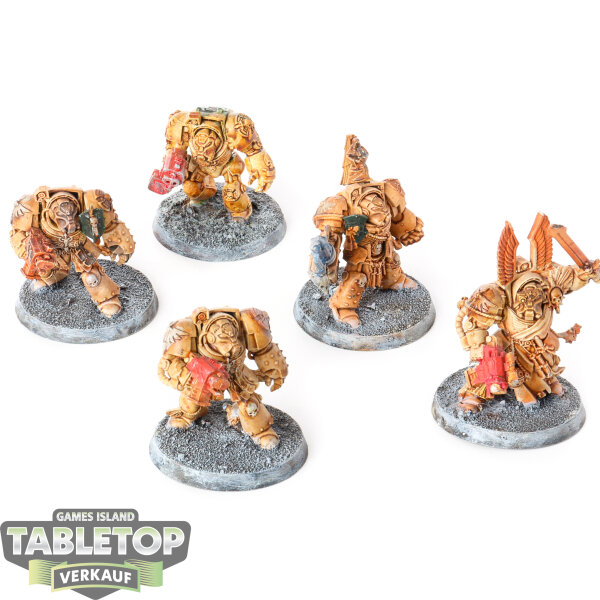 Dark Angels - 5 Deathwing Terminator Squad klassisch - teilweise bemalt