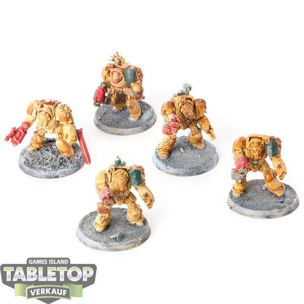 Space Marines - 5 Terminator Squad klassisch - teilweise bemalt