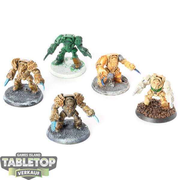 Dark Angels - 5 Deathwing Terminator Squad klassisch - teilweise bemalt