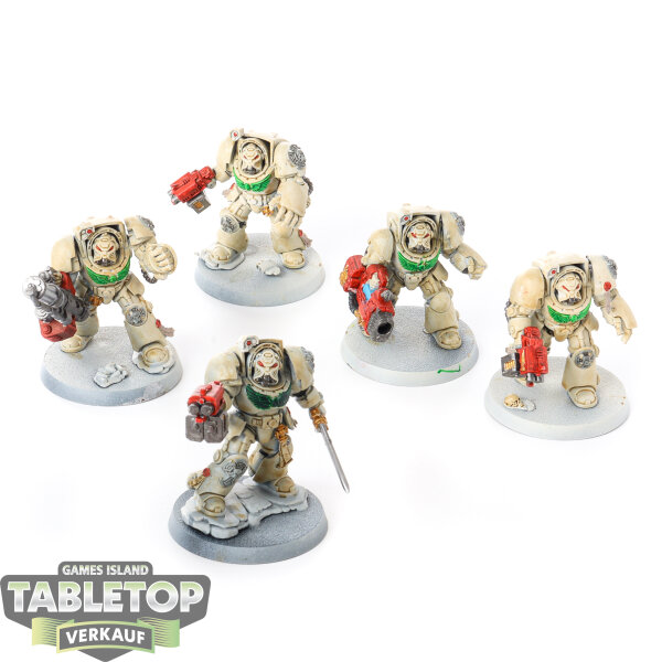 Dark Angels - 5x Deathwing Terminator  - teilweise bemalt
