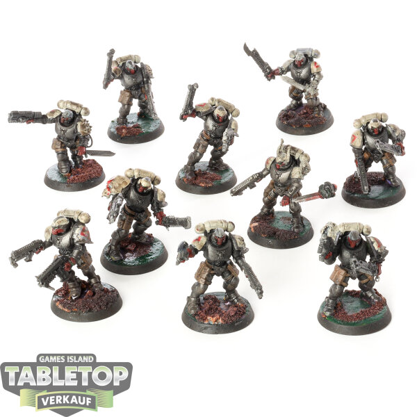 Space Marines - 10x Assault Intercessors - bemalt
