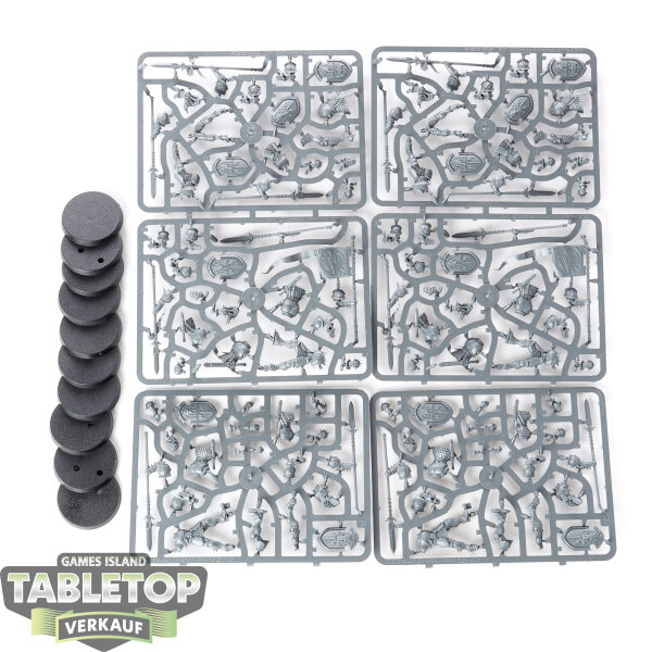 Stormcast Eternals - 10x Vindictors - im Gussrahmen