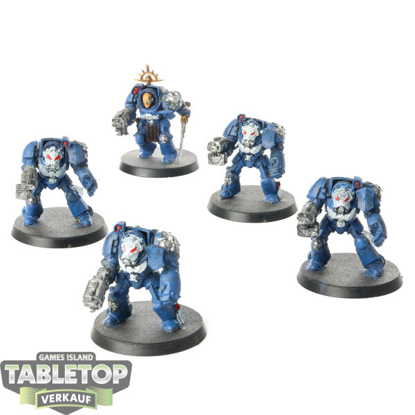 Space Marines - 5 x Terminator Squad klassisch - bemalt