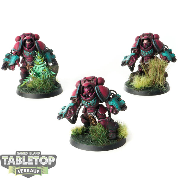 Space Marines - 3 Primaris Aggressors - bemalt