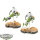 Galaktisches Imperium - 2x 74-Z Speeder Bikes - bemalt
