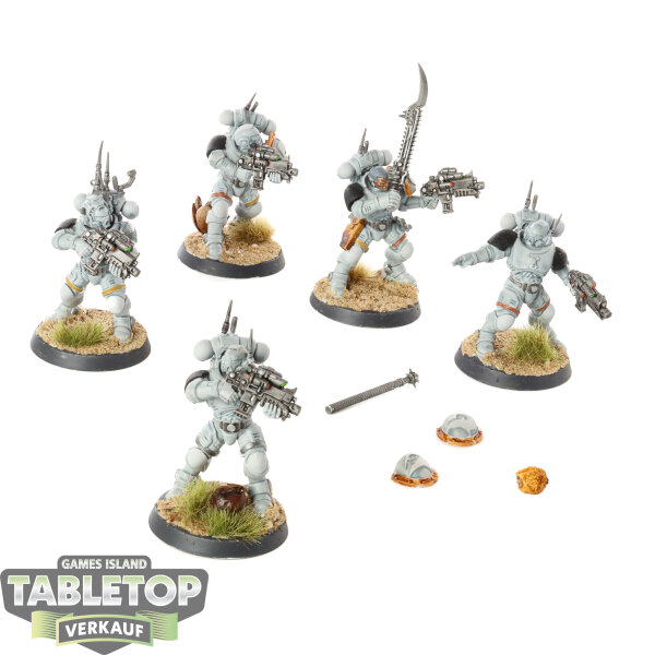 Raven Guard - 5x Carcharodons Infiltrator Squad - bemalt