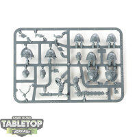 Space Wolves - Primaris Upgrades - im Gussrahmen