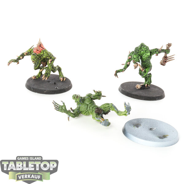 Flesh-eater Courts - 3 Crypt Haunter Courtier - bemalt