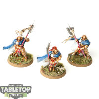 Stormcast Eternals - 3x Praetors - bemalt