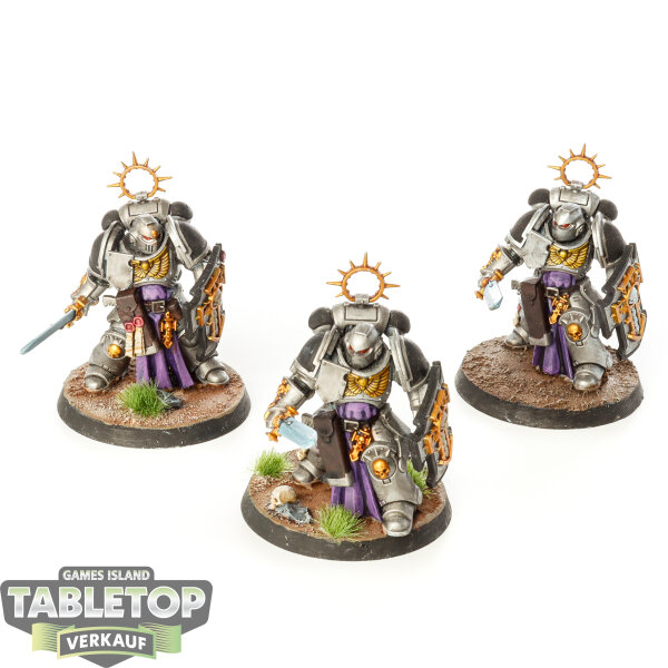 Space Marines - 3 Bladeguard Veterans - bemalt