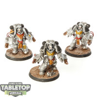 Space Marines - 3 Aggressor Squad - bemalt