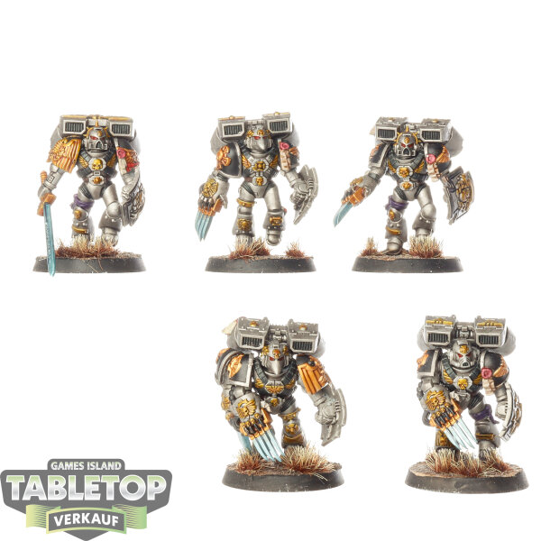 Space Marines - 5 Vanguard Veteran Squad - bemalt