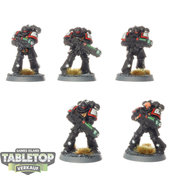Black Templars - 5x Hellblaster Squad - bemalt