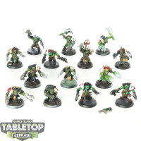 Orks - 14x Ork Beast Snagga Boyz - bemalt