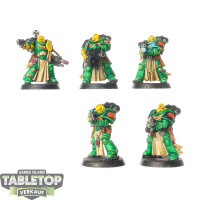 Space Wolves - 5x Sternguard Veteran Squad - bemalt
